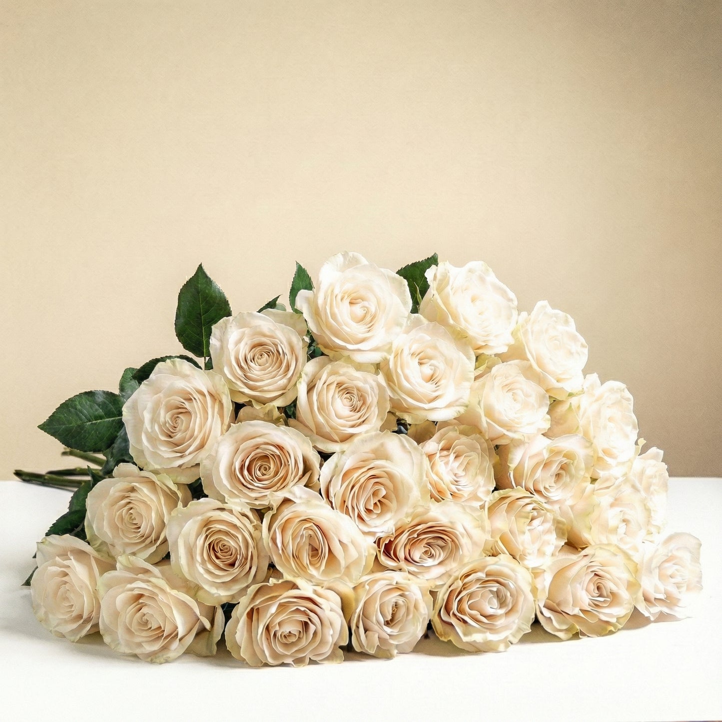 Roses blanches à longues tiges