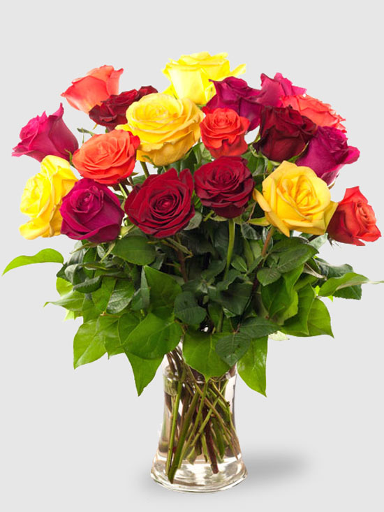 Roses étincelantes (sans vase)