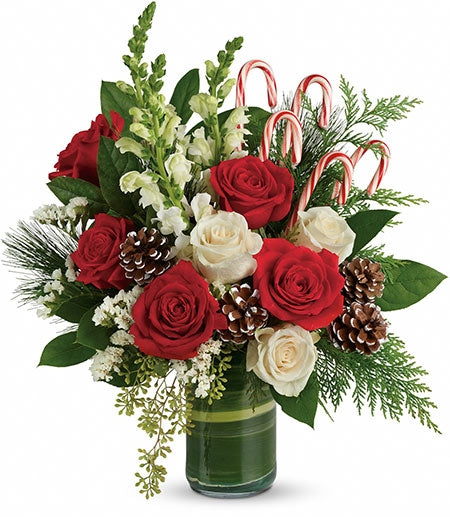 Bouquet de pins festifs