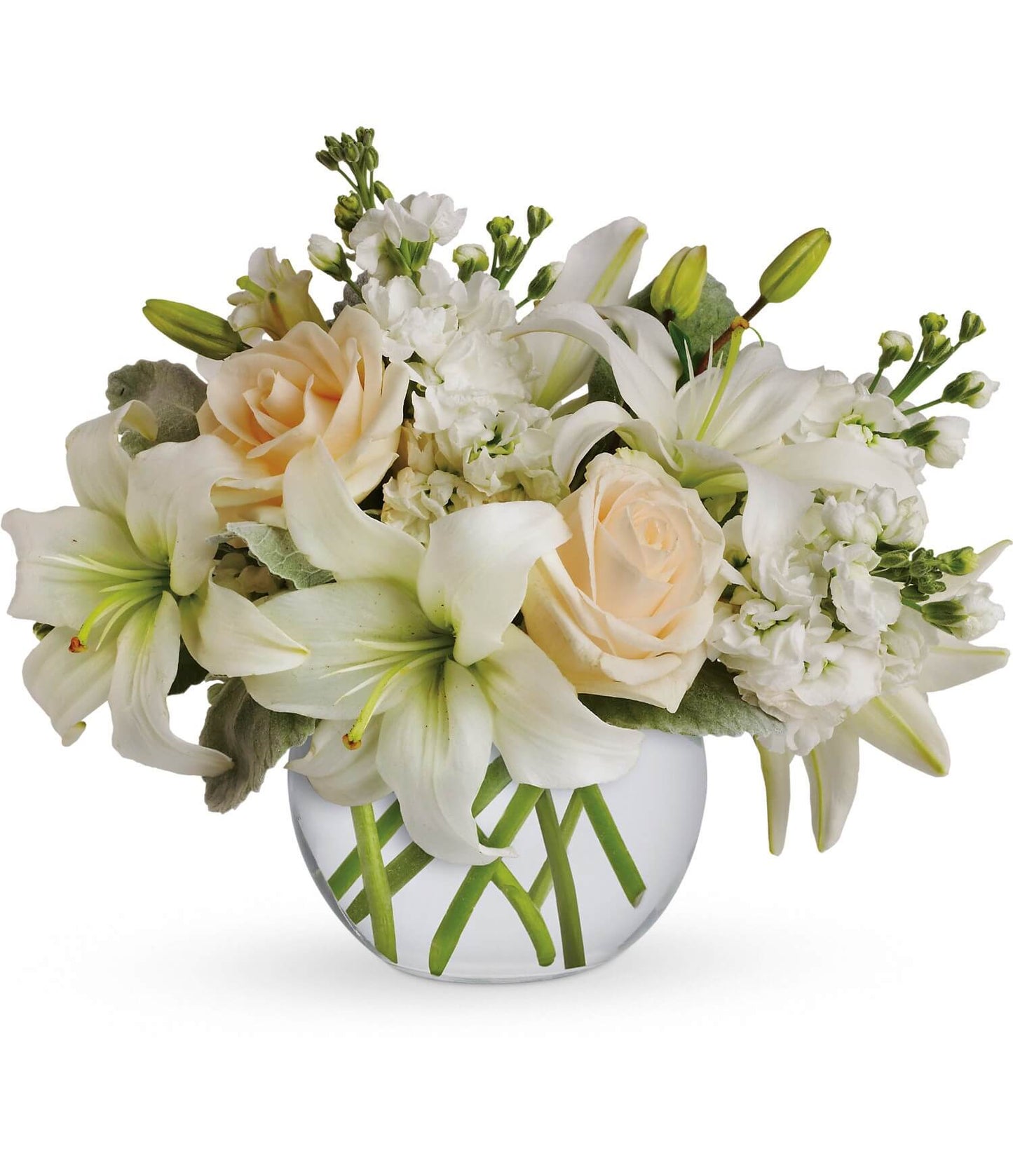 The Isle of White Bouquet by TF features white asiatic lilies, crème roses, and white stock flowers, all beautifully arranged in a bubble glass vase with fresh greenery.