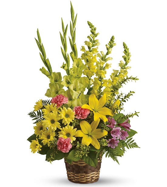 Vivid Recollections-0