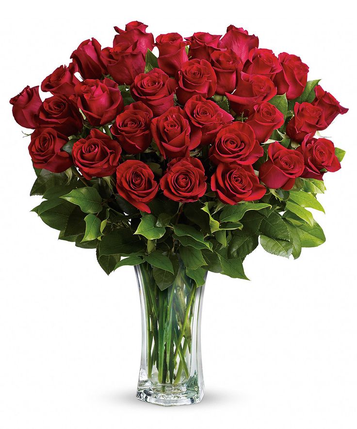 18 Long Stem Red Roses
