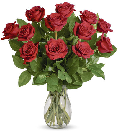 12 Long stem roses