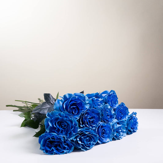 Roses bleues à longue tige (sans vase)