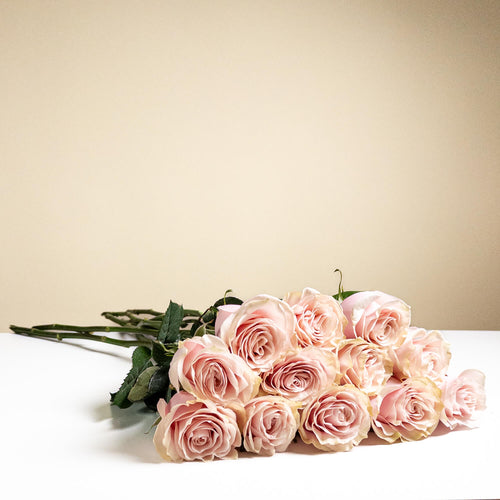 12 Long Stem Roses