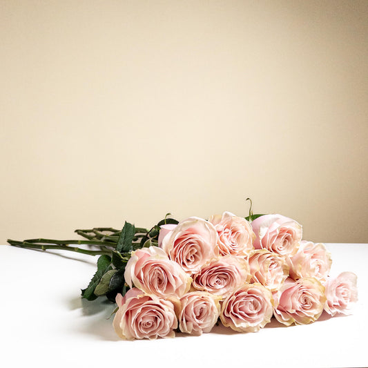 Long Stem Pink Roses (no vase)