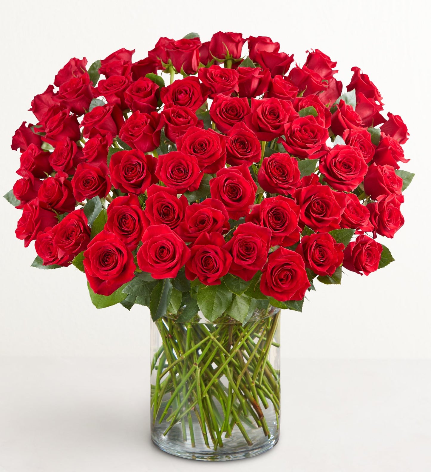 Un superbe arrangement de 100 roses rouges à longues tiges de qualité supérieure dans un vase en verre transparent, avec des feuilles et des tiges d'un vert éclatant, le tout magnifiquement placé sur un fond blanc uni.
