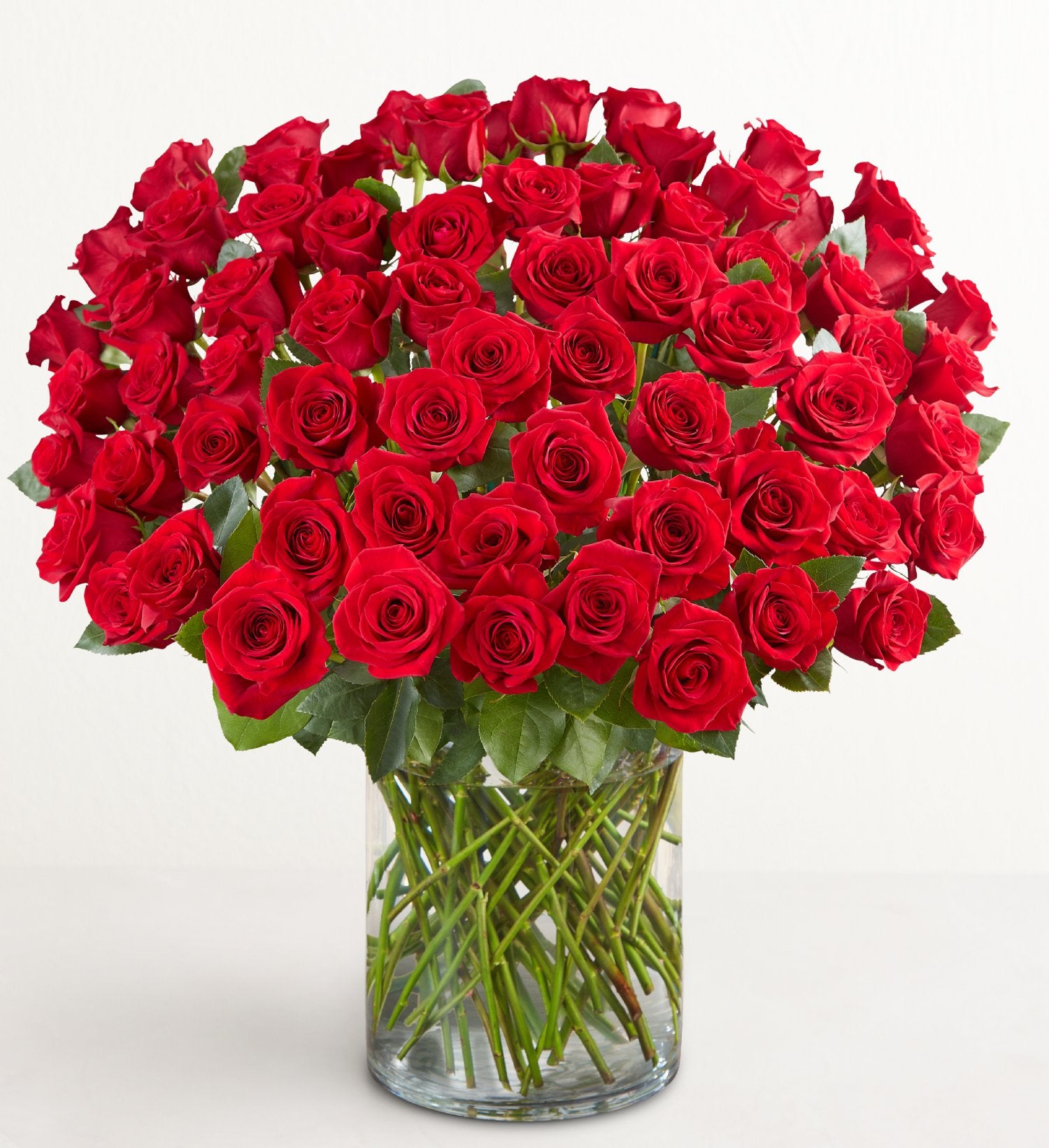 Un superbe arrangement de 100 roses rouges à longues tiges de qualité supérieure dans un vase en verre transparent, avec des feuilles et des tiges d'un vert éclatant, le tout magnifiquement placé sur un fond blanc uni.