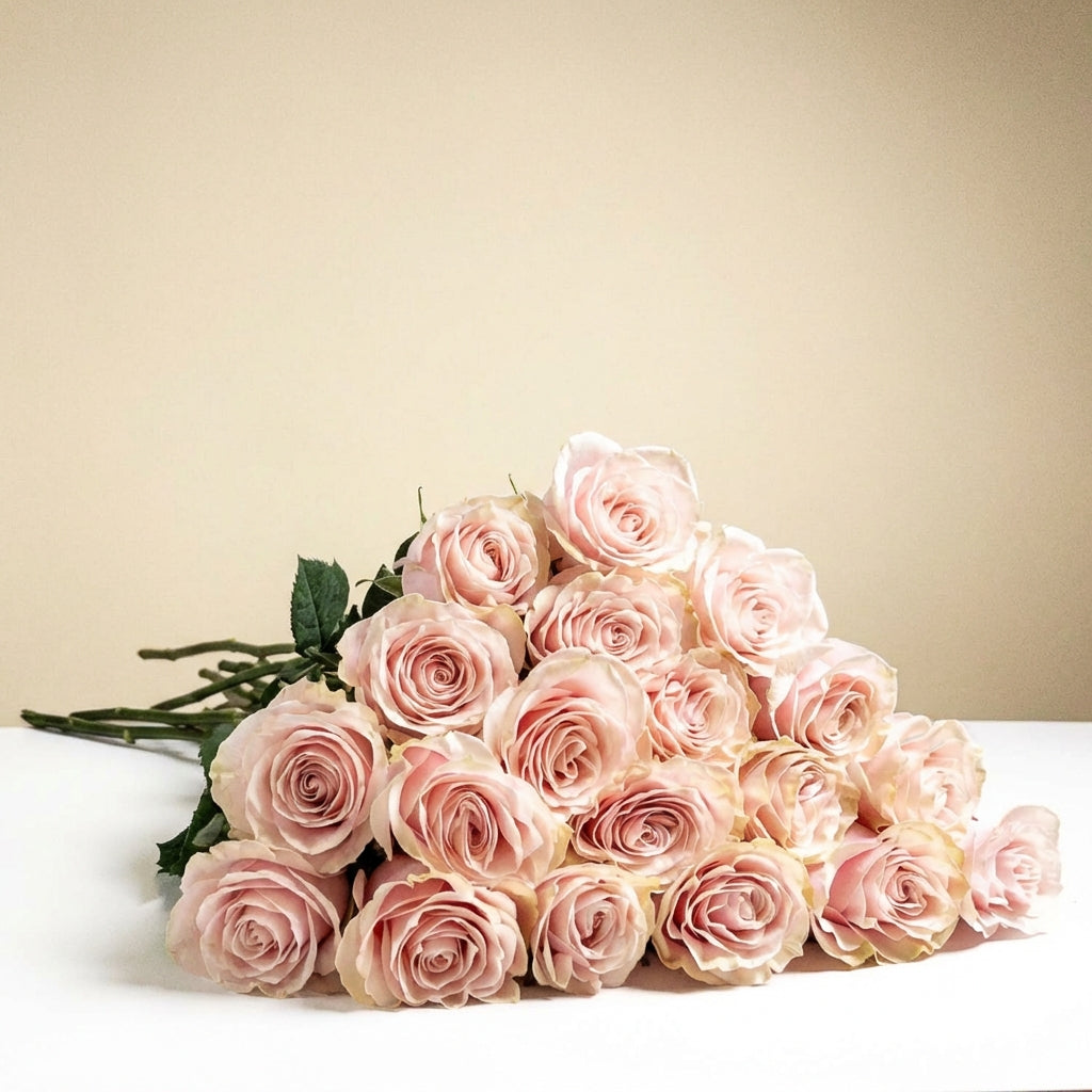 Long Stem Pink Roses (no vase)