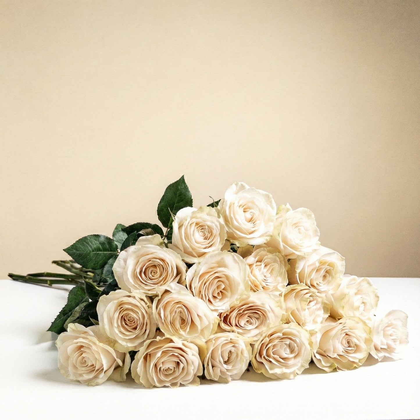 Roses blanches à longues tiges