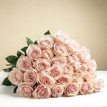 Long Stem Pink Roses (no vase)