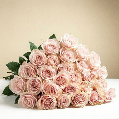 24 Long Stem Roses