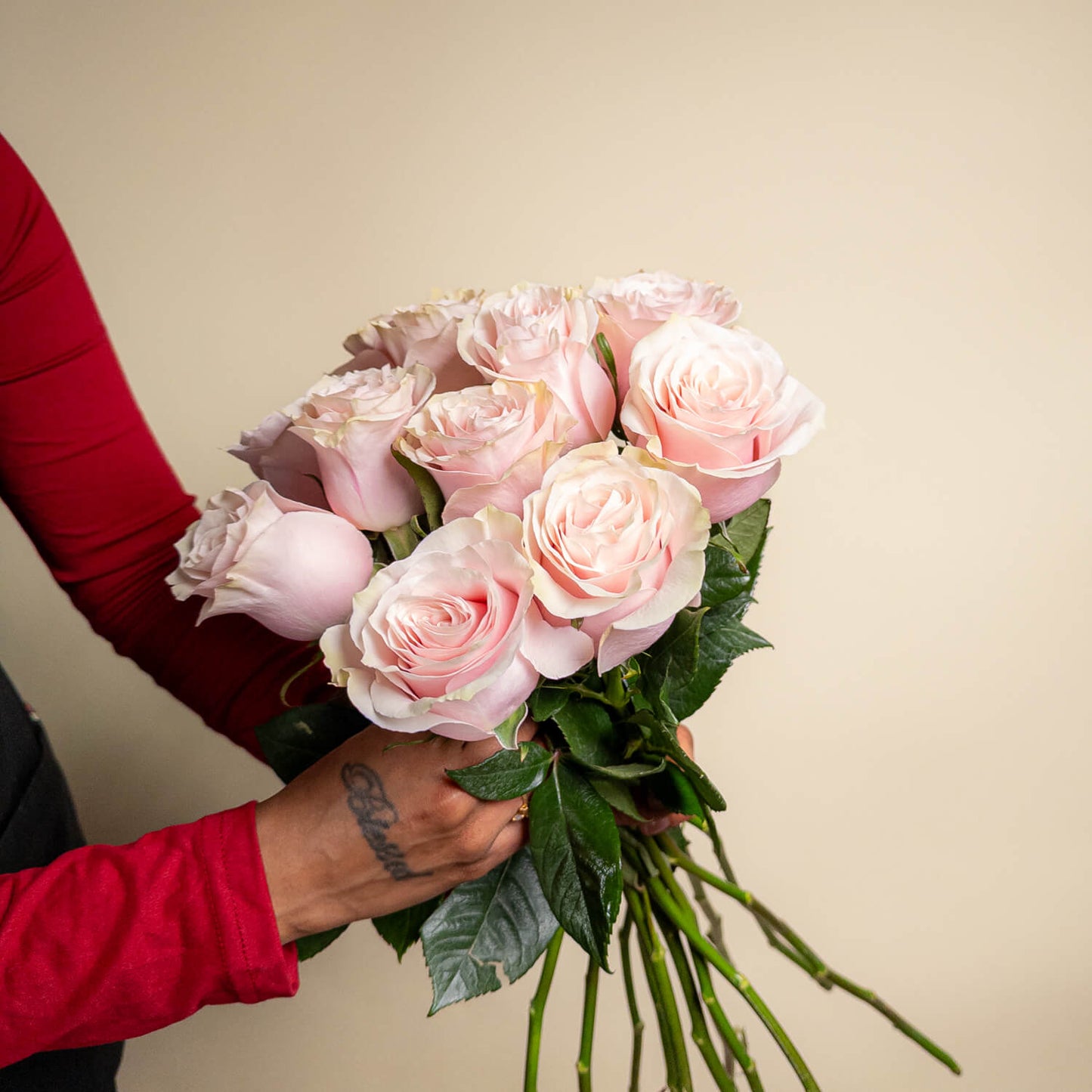 Long Stem Pink Roses (no vase)