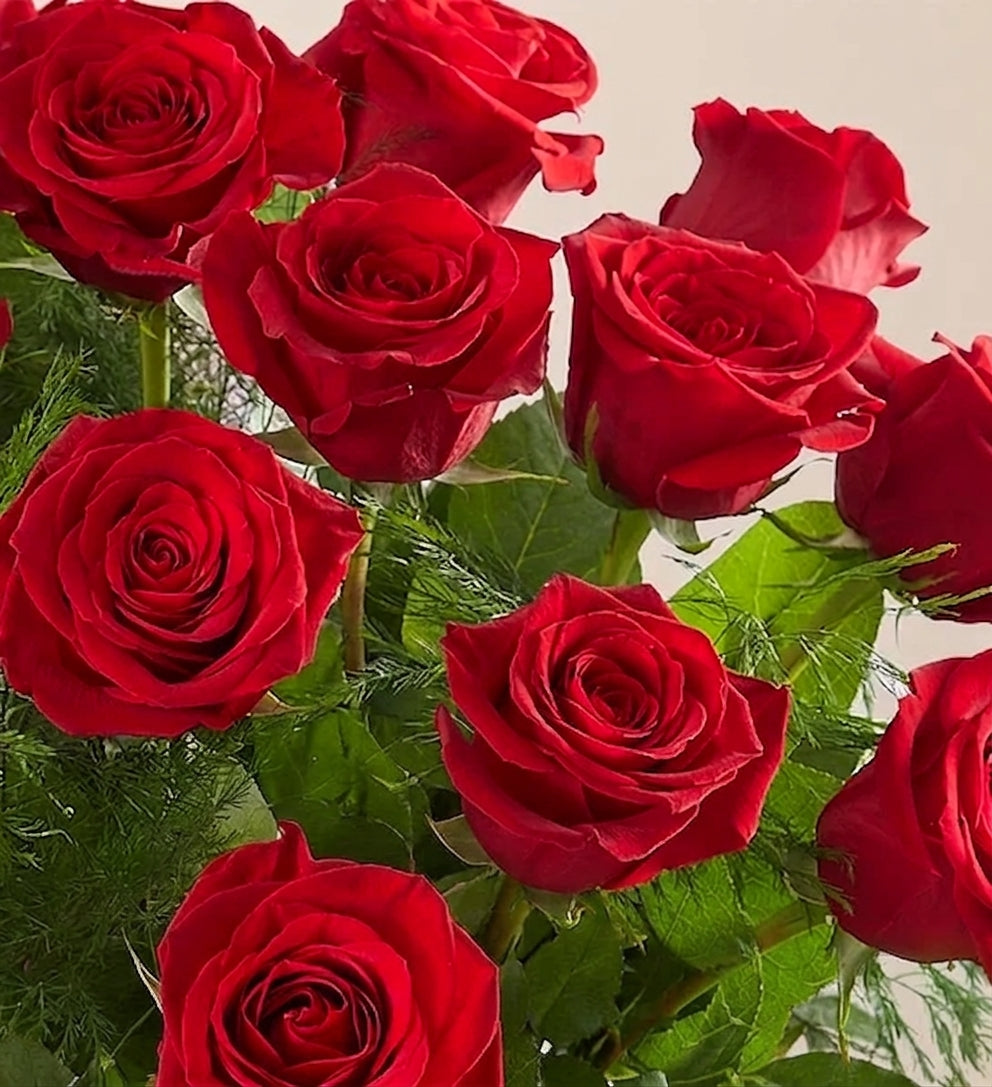 Milestone Anniversary Red Roses Wrapped: A romantic bouquet of vibrant red roses in full bloom with lush green leaves, beautifully wrapped—an ideal gift for special occasions.