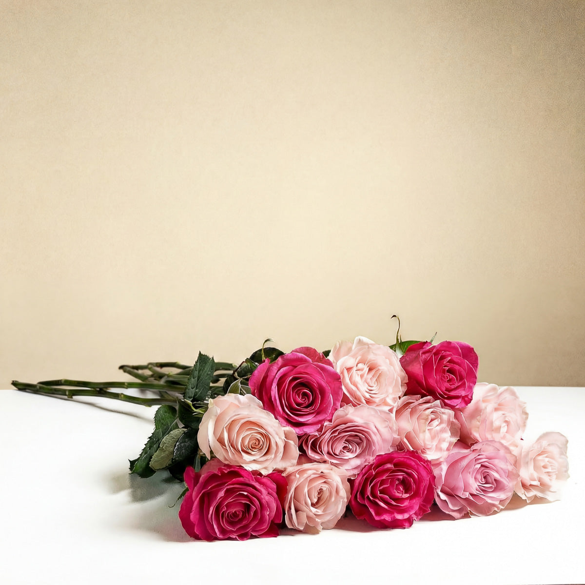 Long Stem Mixed Pink Roses Wrapped