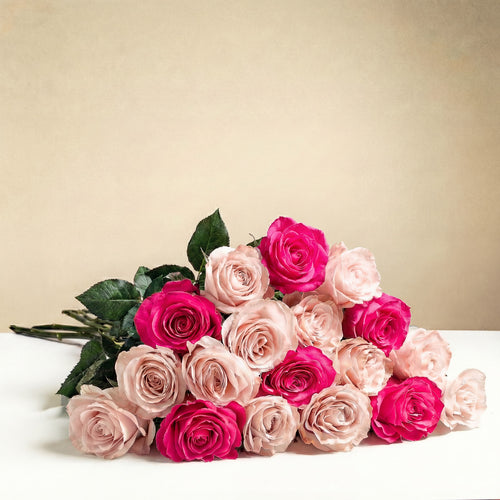 18 Long Stem Roses