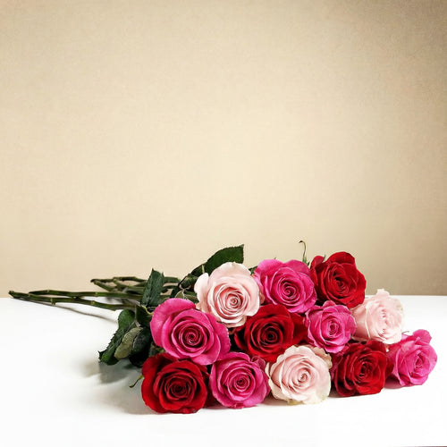 12 roses longues tiges