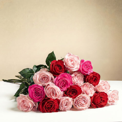 18 roses longues tiges