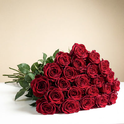 24 roses longue tige