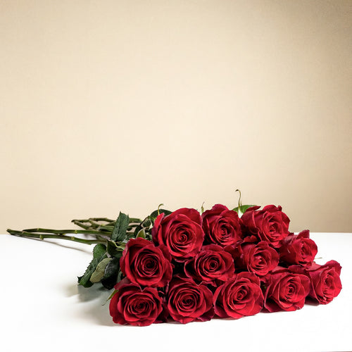 12 Long stem roses