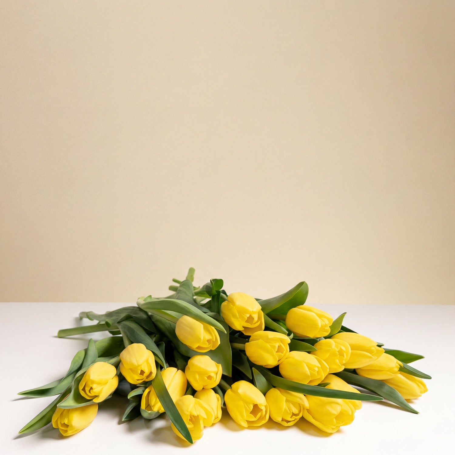 Sunny Yellow Tulips Wrapped, featuring vibrant yellow tulips and green leaves, is beautifully gift wrapped and displayed on a white surface with a beige background—perfect for sending sunshine.
