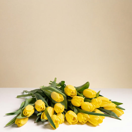 Sunny Yellow Tulips Wrapped, featuring vibrant yellow tulips and green leaves, is beautifully gift wrapped and displayed on a white surface with a beige background—perfect for sending sunshine.