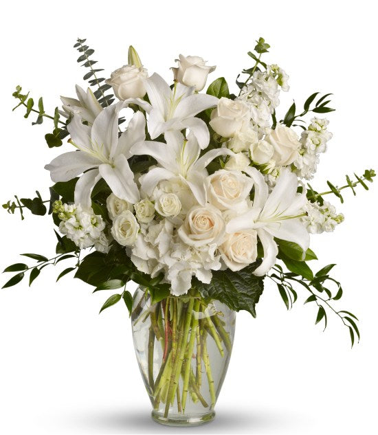 Dreams from the heart