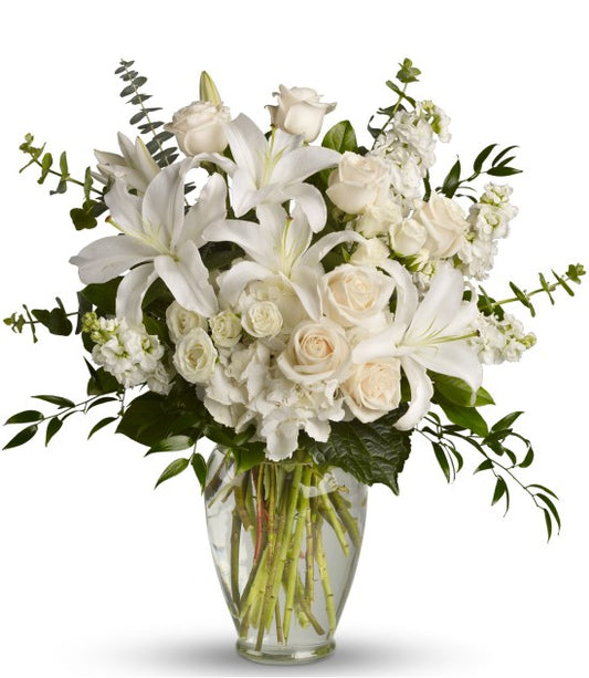 Dreams from the heart