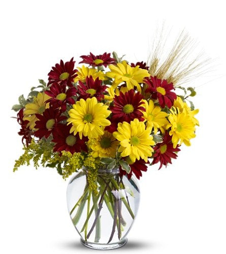 Fall for Daisies Bouquet
