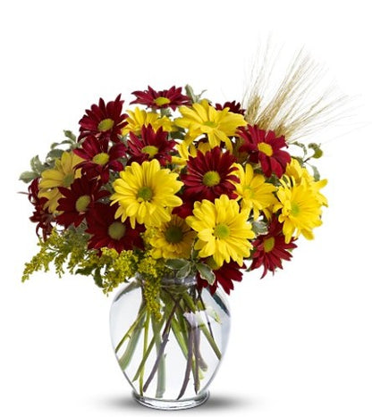 Fall for Daisies Bouquet
