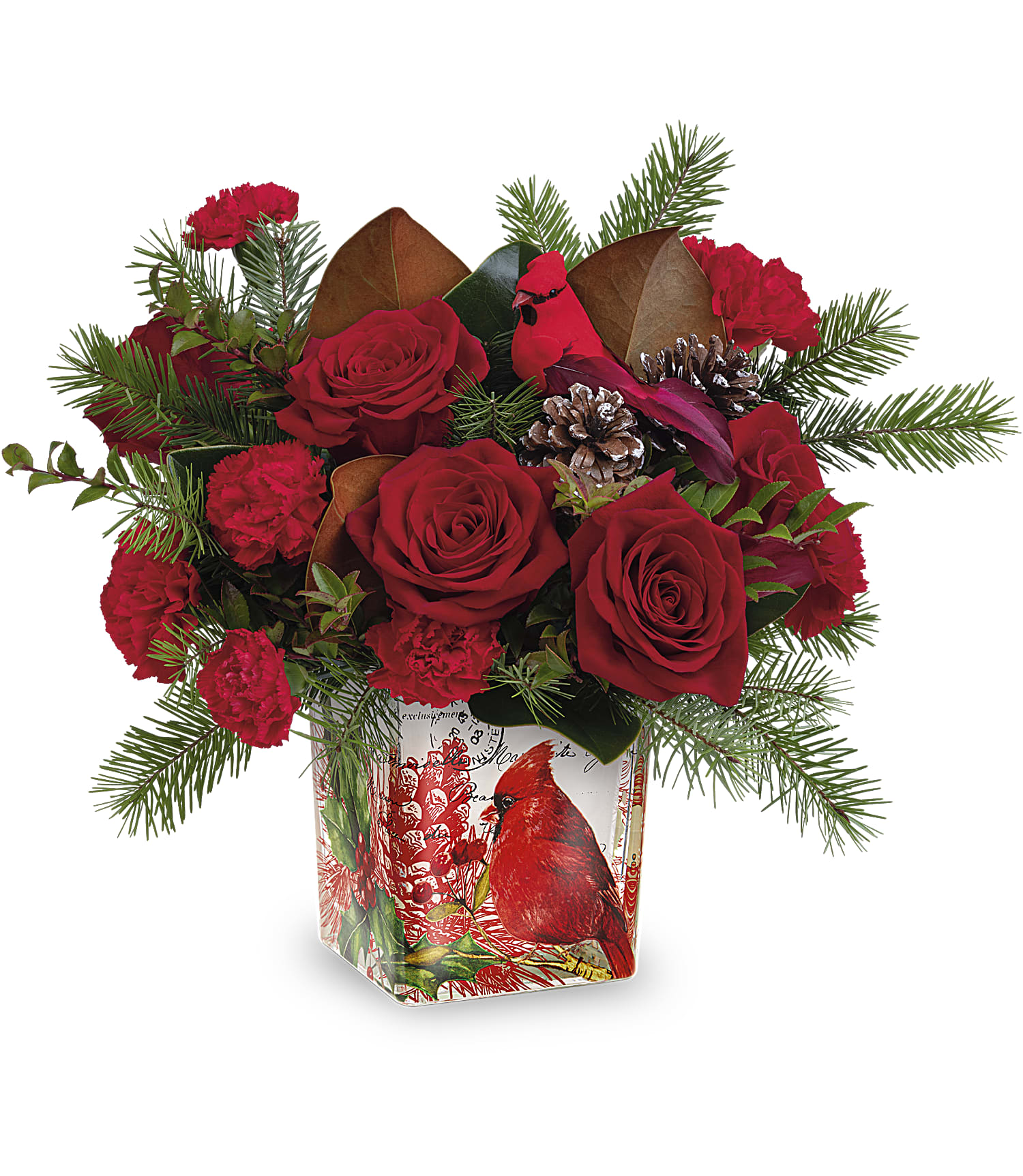 The Joyful Cardinal Bouquet by Fleuriste Terrafolia Flowers features festive red roses, carnations, pine branches, pinecones, and a cardinal decoration in a square vase with a charming cardinal illustration.