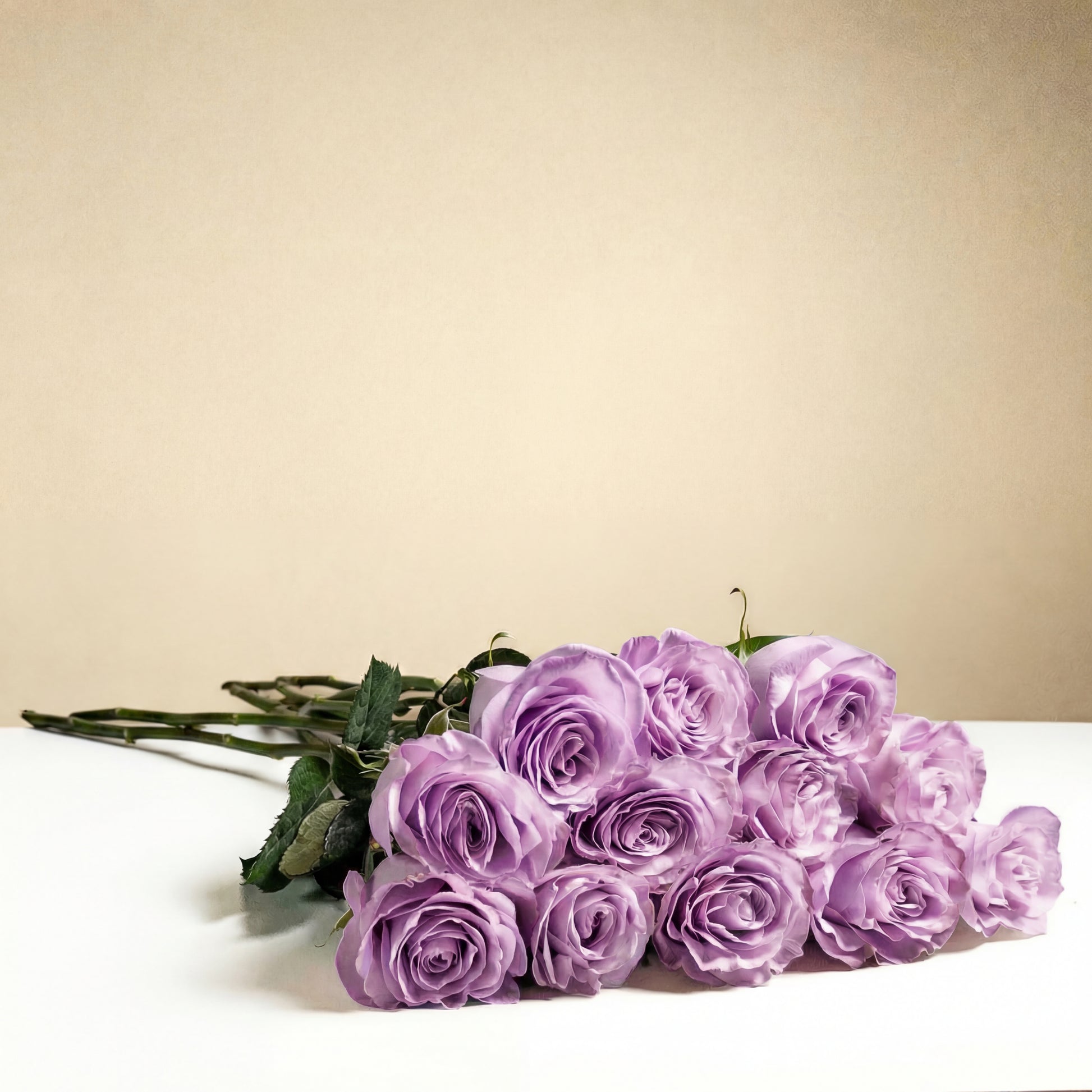 The TF Long Stem Lavender Roses Wrapped features twelve romantic lavender roses with green stems and leaves, elegantly arranged on a white surface set against a beige background.