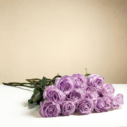 12 roses longues tiges