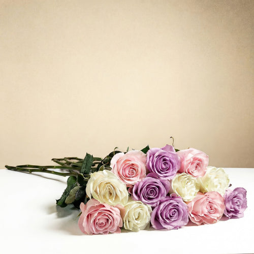 12 roses longues tiges