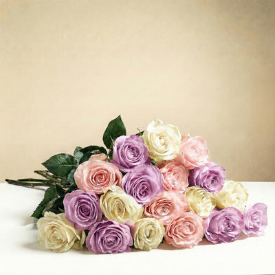 18 roses longues tiges