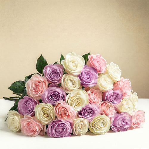 24 roses longues tiges