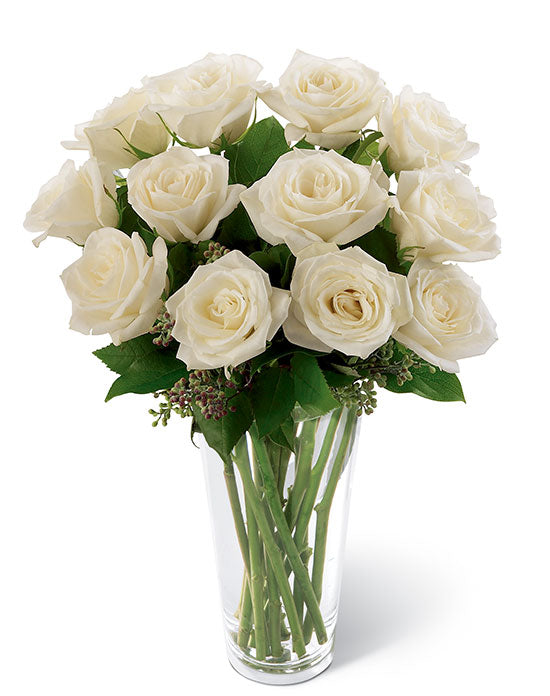 12 White Roses