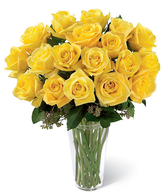 Long Stem Yellow Roses (no vase)