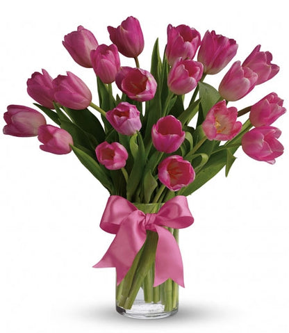Precious Pink Tulips