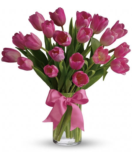 Precious Pink Tulips