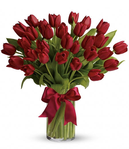 Radiantly Red Tulips-0