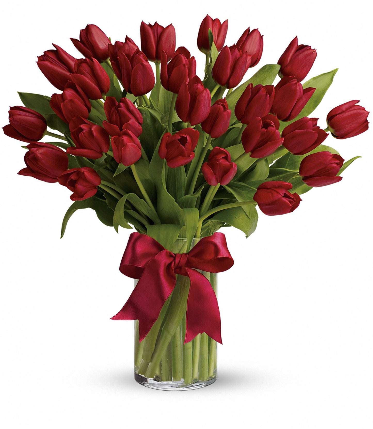 Radiantly Red Tulips