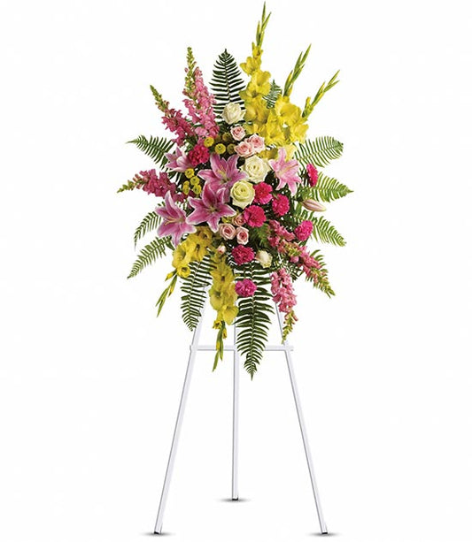 Rays of Light Spray-0