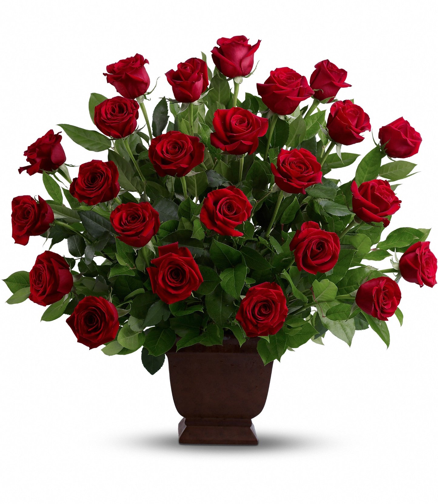 The Rose Tribute Bouquet features vibrant red roses and lush salal leaves elegantly arranged in a dark brown Noble Heritage Urn, presented against a plain white background.