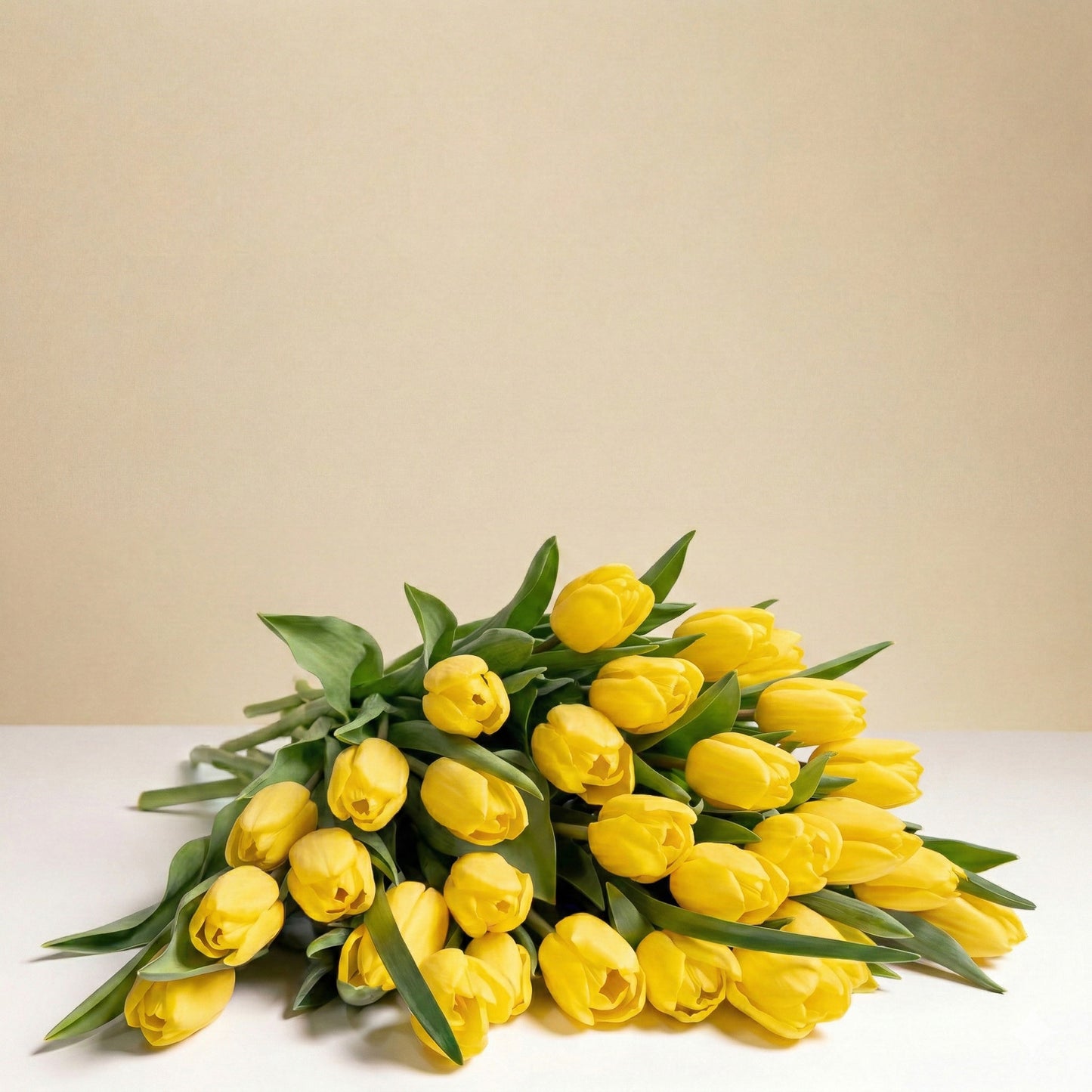 Sunny Yellow Tulips Wrapped, featuring vibrant yellow tulips and green leaves, is beautifully gift wrapped and displayed on a white surface with a beige background—perfect for sending sunshine.