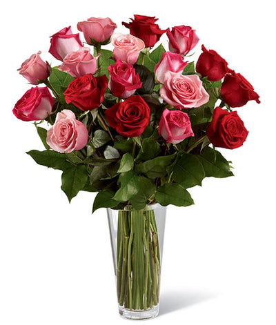 18 roses longue tige