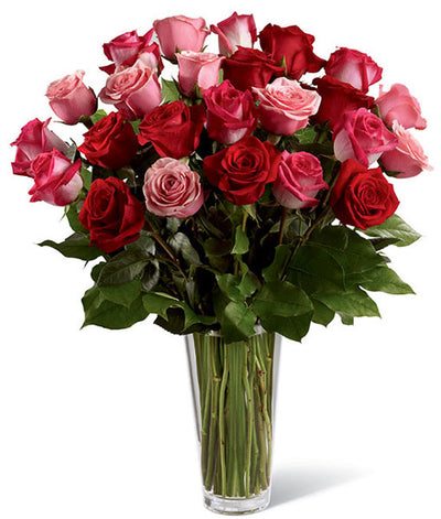 24 roses longue tige
