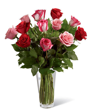12 roses longue tige