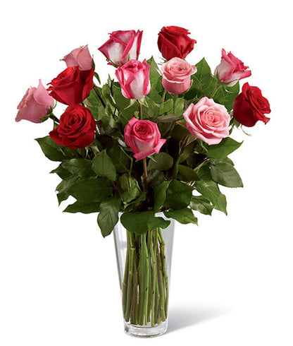 Long Stem True Romance Roses (no vase)