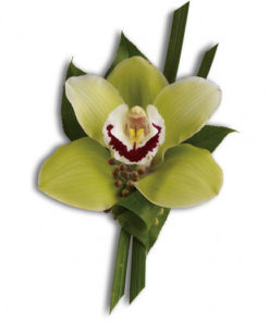 Green Orchid Boutonniere-0